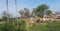 Nomad people under green Trees beside Indian Railway