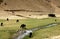 Nomad settlement with animals by a river near the Minaret of Jam in central Afghanistan