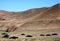 Nomad tents near Chisht-e-Sharif in Herat Province, Afghanistan