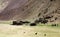 Nomad tents near the Minaret of Jam in central Afghanistan