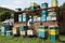 Nomadic apiary and beekeeper