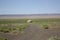 A nomadic family in the Gobi Desert, Umnugovi, Mongolia.