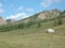 A nomadic family in the silent meadow, Terelj valley, Tuv province, Mongolia.