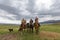 Nomadic people on their horse in Kazakhstan.