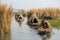 nomadic tribe crossing river on rafts made of reeds
