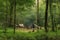 nomadic tribe setting up camp in lush green forest
