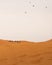 Nomads and camels crossing Sahara Desert