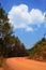 Non-Asphalt Paved Road with Pine Forest and Cloudy Blue Sky