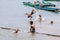 Nong Khiaw, Laos - May 2019: Lao boys having fun in Mekong river