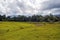 Nong Pak Chee grassland in Khao Yai National Park