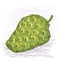 Noni fruit