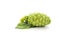 Noni fruit with flower and leaf on white background