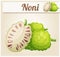 Noni fruit illustration. Cartoon vector icon