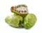 Noni Indian Mulberry fruit