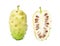 Noni or Morinda Citrifolia fruit with cut in half