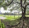 Noon view of Governor-General Akashi Motojiro\'s Cemetery Former Site