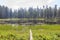 Noon view of a small lake with trees near Tioga Road