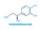 Noradrenaline concept chemical formula icon label, text font vector illustration