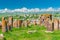 Noratus cemetery of Armenia sight with stone khachkars