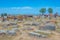 Noratus cemetery with Khachkars - ancient tombstones in Armenia