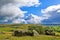 Norber Erratics, near Austwick, Yorkshire Dales, England