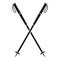 Nord walking sticks icon, simple style