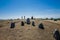 Nordic bronze age grave field in Sweden