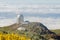 Nordic optical telescope, Roque de los Muchachos Observatory in