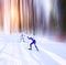 Nordic ski, cross country skiing, sport photo. Blurred background. Edit space