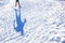 Nordic ski skier on the track in winter - sport active photo with space for your montage - Illustration picture for winter game