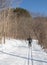 Nordic skier on the Arrowhead Park trail