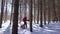 Nordic skier in the forest with his dog