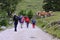 Nordic walkers at Dobrac mountain, Austria
