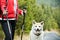 Nordic Walking with dog