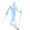 Nordic walking - skeleton