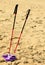 Nordic walking. sticks and violet shoes on a sandy beach
