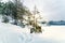 Nordic winter landscape