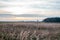 Norfolk landscape. Agricultural fields. Countryside view with windmill horizon