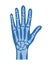 normal hand joints