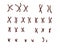 Normal human male karyotype