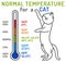 The normal temperature for a cat. Medical infographic.