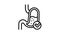 normal workin digestion system line icon animation