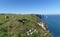 Norman cows on the cliffs of Etretat