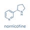 Nornicotine alkaloid molecule. Related to nicotine and also found in Nicotiana plants. Skeletal formula.