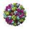 Norovirus, winter vomiting bug, RNA virus from Caliciviridae family, causative agent of gastroenteritis