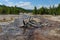 Norris Geyser Basin