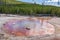 Norris Geyser Basin is the hottest, oldest, and most dynamic of Yellowstone`s thermal areas, Yellowstone National Park  Wyoming, U