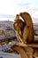 Norte dame gargoyle looking out over Paris at sunset