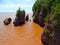 North America, Canada, Province of New Brunswick, Hopewell Rock Park, Fundy Biosphere Reserve