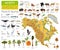 North America flora and fauna map, flat elements. Animals, birds